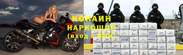 стаф Волосово