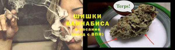 стаф Волосово